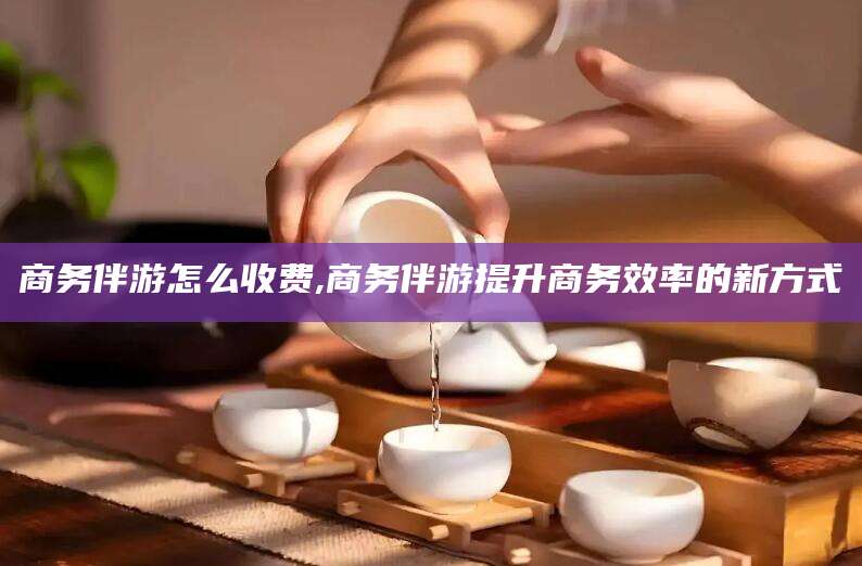 梧州商务伴游怎么收费,商务伴游提升商务效率的新方式